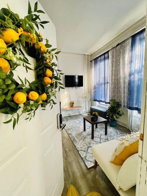 Apartment Cozy 1br With Patio In The Heart Of Albany