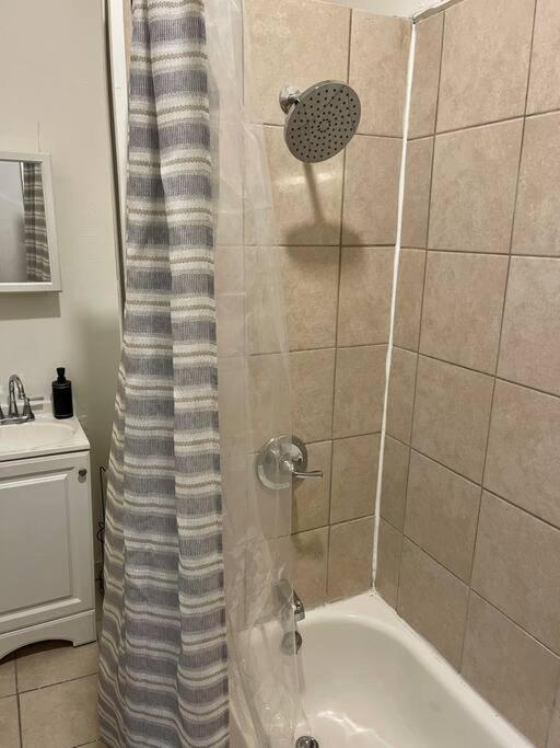 Apartment Cozy 1br With Patio In The Heart Of Albany