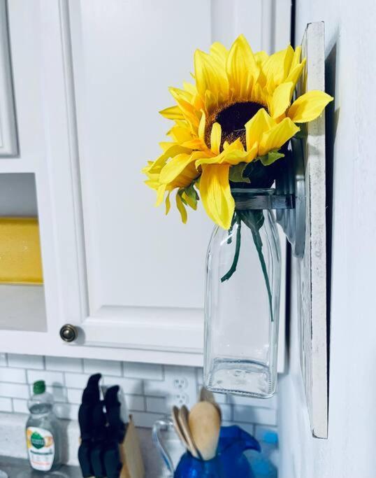 Cozy 1br With Patio In The Heart Of *