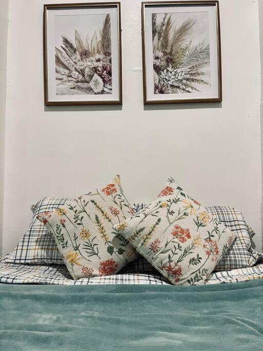 Cozy 1br With Patio In The Heart Of Apartment Albany