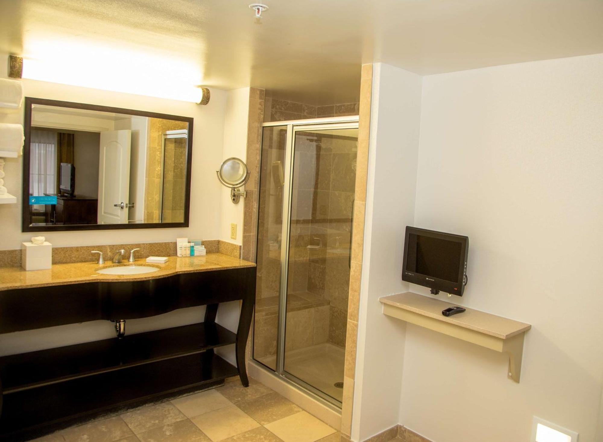 Hotel Hampton & Albany-downtown
