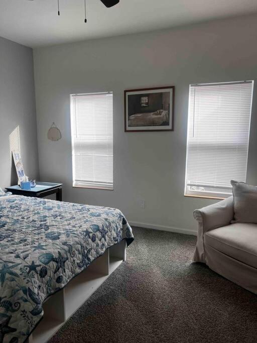 Renovated 3 Bedroom For Professionals Apartment Albany