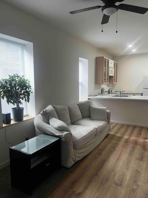 Renovated 3 Bedroom For Professionals * Albany