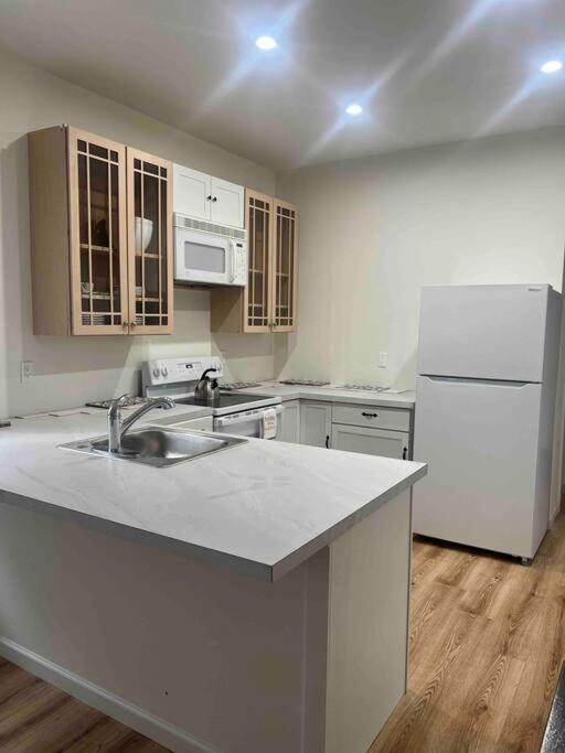 Renovated 3 Bedroom For Professionals Apartment Albany