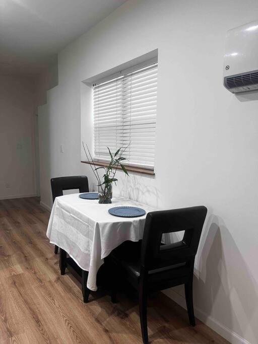 Apartment Renovated 3 Bedroom For Professionals Albany