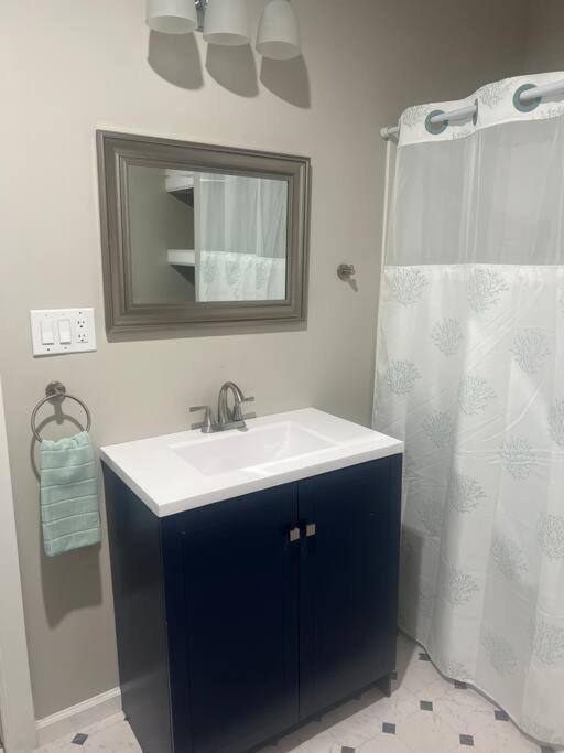 Renovated 3 Bedroom For Professionals Apartment Albany