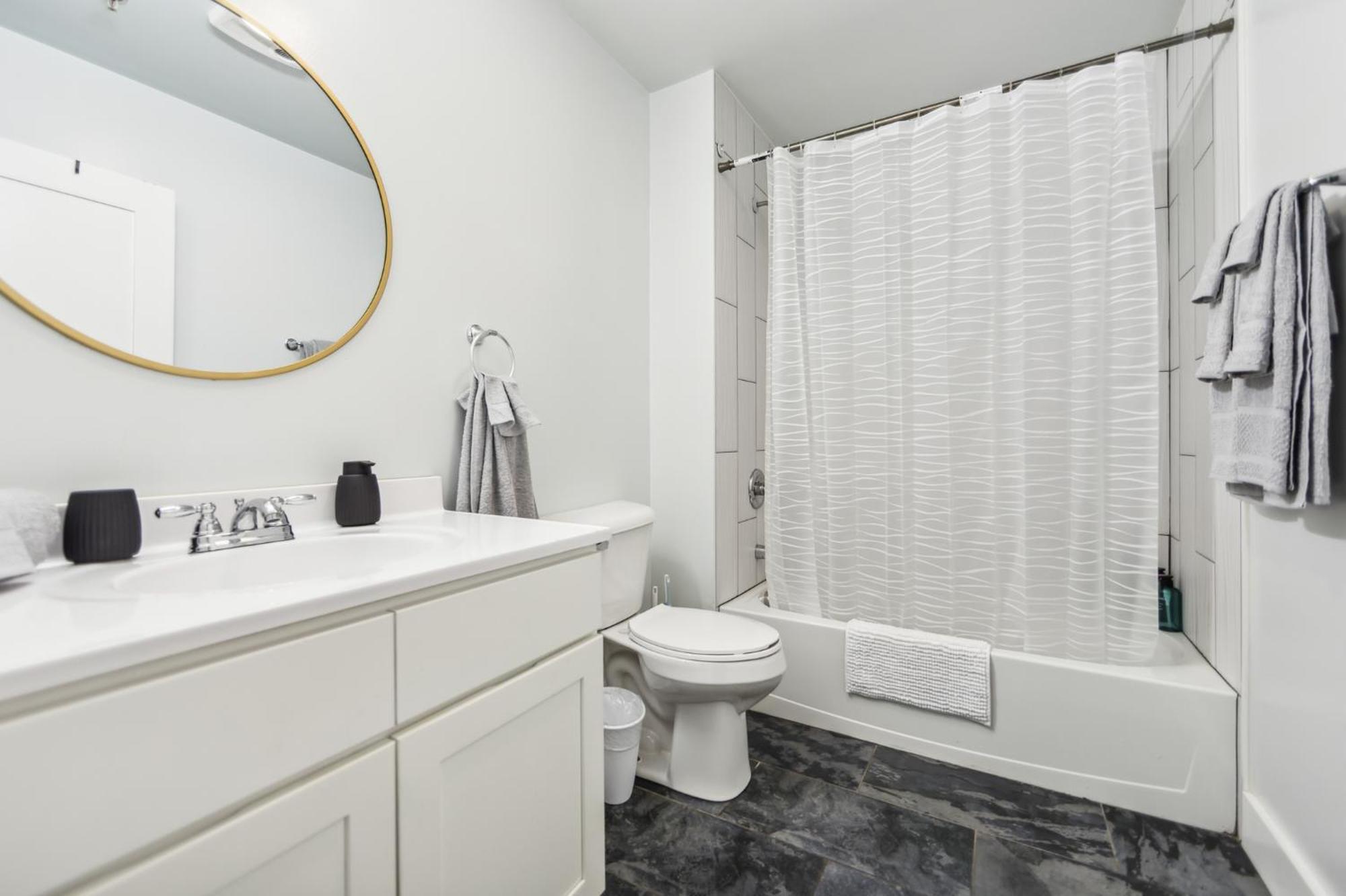 Apartment Lofts At Washington 310 Spacious 1 Bedroom 1 Bath