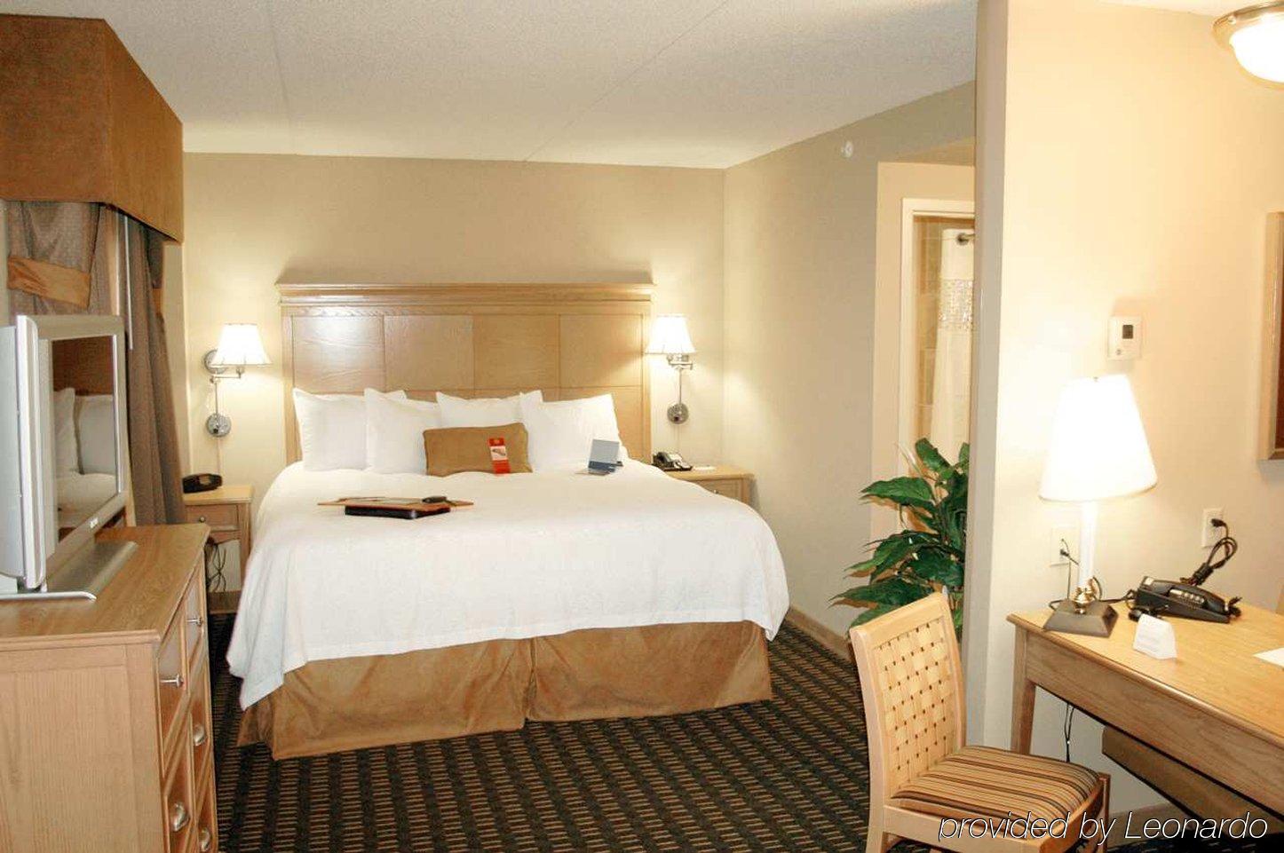 Hampton & Albany-downtown Hotel Albany