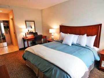 Hotel Homewood By Hilton Albany