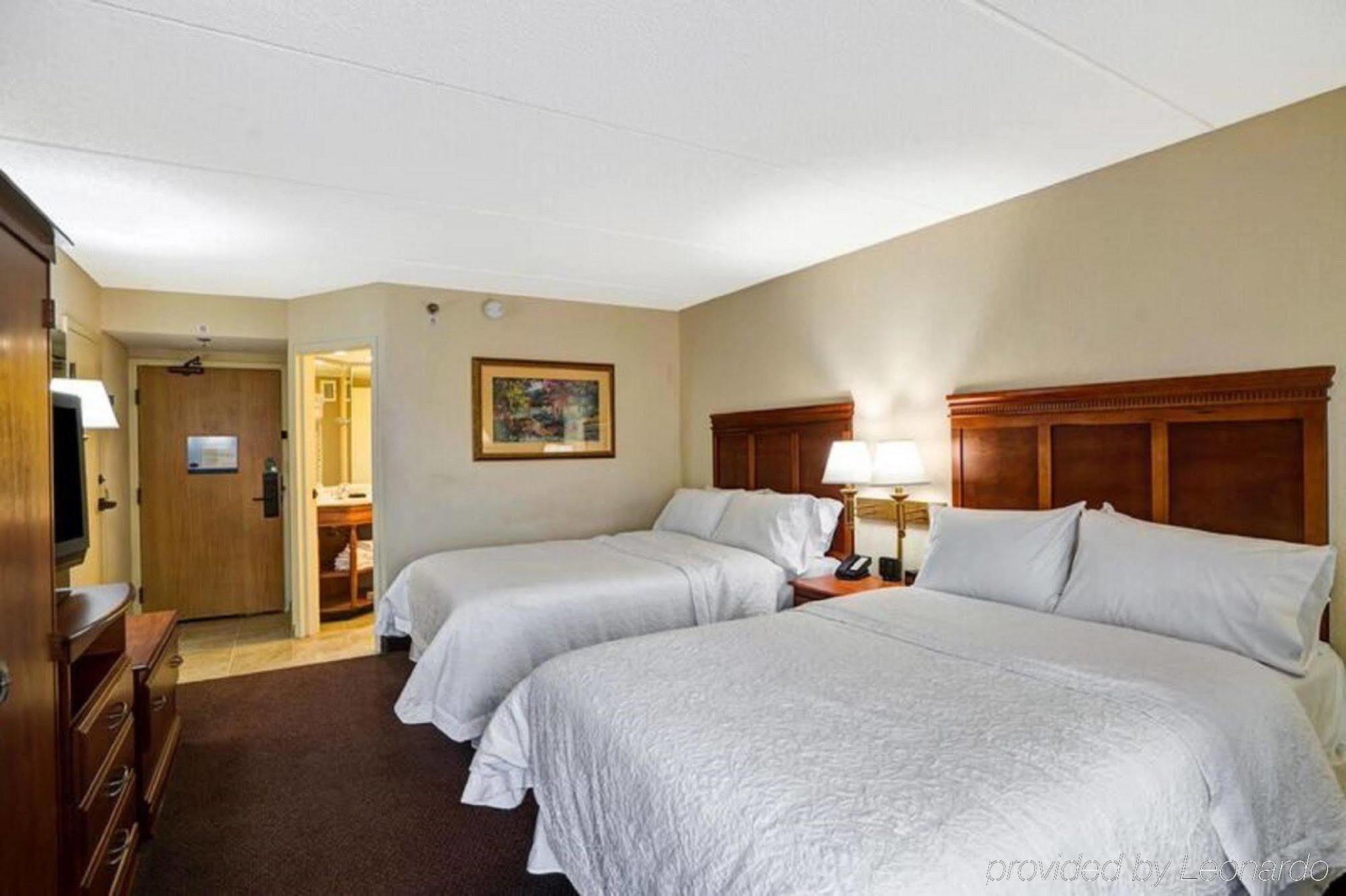 Hotel Hampton Albany-wolf Road