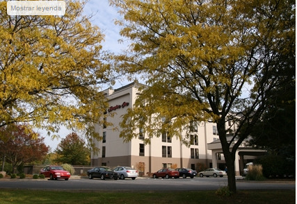 Hampton Albany-wolf Road
