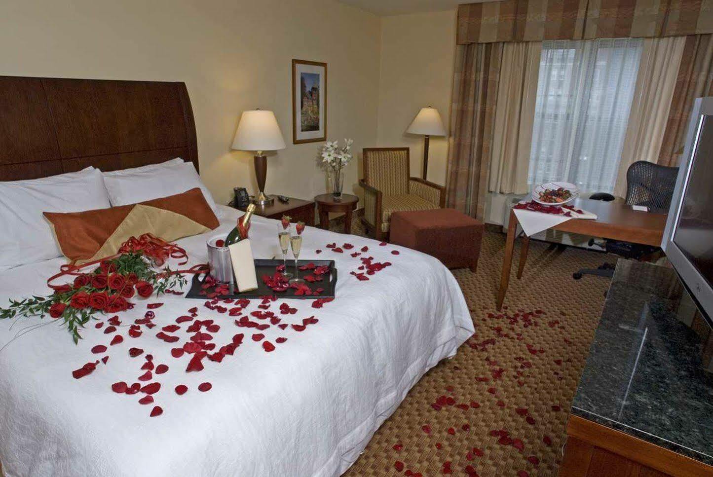 Hotel Hilton Garden Medical Center Albany